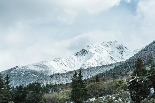 Snow Mountain in winter — Stock Photo, Image