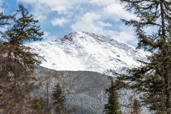 Snow Mountain in winter — Stock Photo, Image