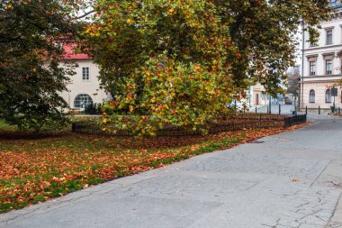 Tarihsel Prag 'da, Vltava Nehri üzerindeki Charles Köprüsü' nde sonbahar şafağı. Prag, ENESCO anıtı, Çek Cumhuriyeti