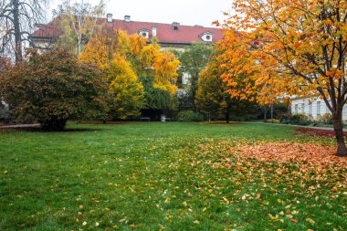 Tarihsel Prag 'da, Vltava Nehri üzerindeki Charles Köprüsü' nde sonbahar şafağı. Prag, ENESCO anıtı, Çek Cumhuriyeti