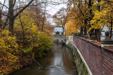 Tarihsel Prag 'da, Vltava Nehri üzerindeki Charles Köprüsü' nde sonbahar şafağı. Prag, ENESCO anıtı, Çek Cumhuriyeti