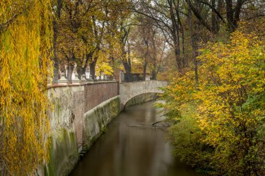 Tarihsel Prag 'da, Vltava Nehri üzerindeki Charles Köprüsü' nde sonbahar şafağı. Prag, ENESCO anıtı, Çek Cumhuriyeti