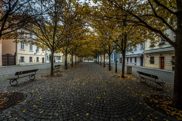 Jesienny Świt Historycznej Pradze Moście Karola Nad Wełtawą Praga Pomnik — Zdjęcie stockowe