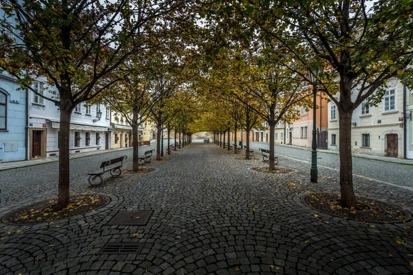 Otoño Amanecer Histórica Praga Puente Carlos Sobre Río Moldava Praga —  Fotos de Stock