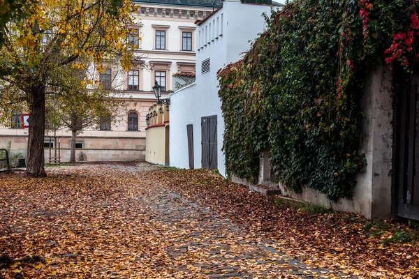 Alvorada Outono Histórica Praga Ponte Carlos Sobre Rio Vltava Praga — Fotografia de Stock