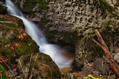 Dere ve Büyük (Büyük) Stolpich Şelaleleri, Jizera Dağı 'nda sonbaharda uzun süre görülür. Su, granit taşlar ve yeşil yosunlarla kaplı kayalarla dolu derin bir orman kanyonuna düşer. Liberec Bölgesi, Çek Cumhuriyeti.
