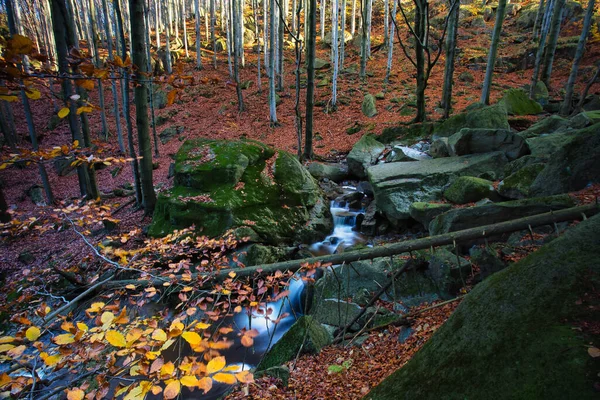 Őszi Hosszú Expozíció Patak Fekete Nagy Stolpich Vízesések Jizera Mountain — Stock Fotó