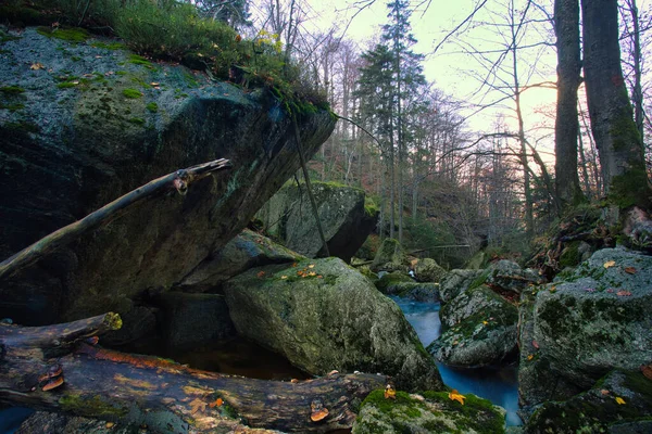 Hluboký Les Údolí Potoka Black Stolpich Podzimních Barvách Liberecký Kraj — Stock fotografie