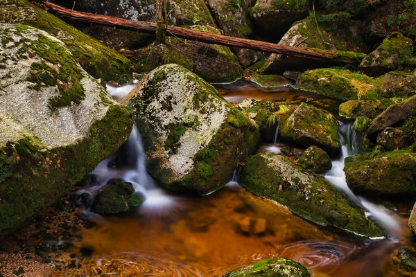 Dere ve Büyük (Büyük) Stolpich Şelaleleri, Jizera Dağı 'nda sonbaharda uzun süre görülür. Su, granit taşlar ve yeşil yosunlarla kaplı kayalarla dolu derin bir orman kanyonuna düşer. Liberec Bölgesi, Çek Cumhuriyeti.