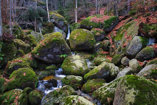 Őszi Hosszú Expozíció Patak Fekete Nagy Stolpich Vízesések Jizera Mountain — Stock Fotó