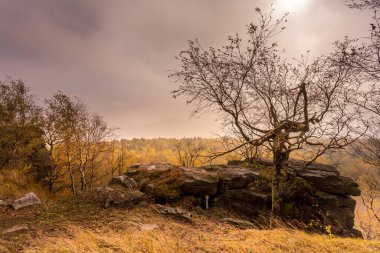 Yaprak döken ormanda sonbahar sisli sabahı. Alçak güneş ağaçların ve sislerin arasından parlıyor ve yaprakların ve uzun otların boyaları. Kuzeybatı Bohemya 'daki Decinsky Sneznik tepesinin etrafındaki dağ manzarası