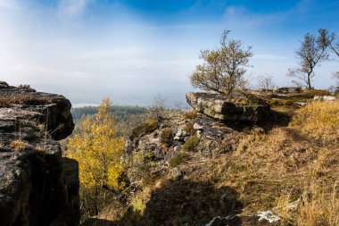 Yaprak döken ormanda sonbahar sisli sabahı. Alçak güneş ağaçların ve sislerin arasından parlıyor ve yaprakların ve uzun otların boyaları. Kuzeybatı Bohemya 'daki Decinsky Sneznik tepesinin etrafındaki dağ manzarası