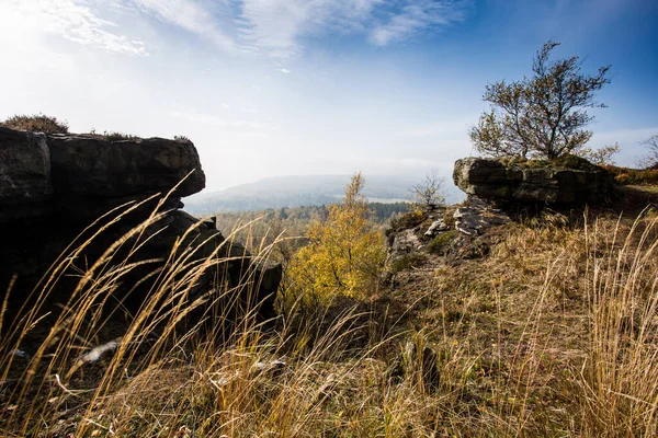 Mañana Nublada Otoño Bosque Caducifolio Sol Bajo Brilla Través Los — Foto de Stock