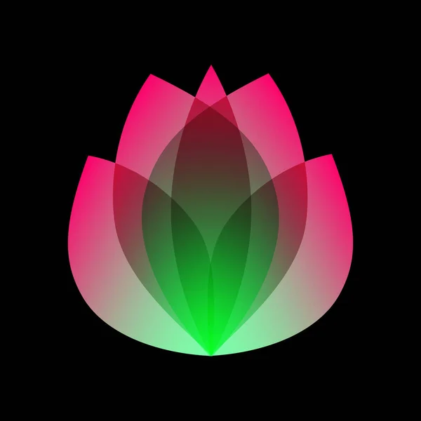 로터스 (lotus) 또는 튤립 로고 (tulip logotype) 는 네 온색을 띤다. 천연 꽃의 로고 템플릿. 꽃의 꽃무늬는 에코 디자인이다. 지페 신예 — 스톡 사진