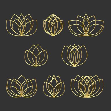 Altın çizgili lotus logosu siyah arka planda. Altın çiçekli logotlar şablonu. Çiçek açan çiçek sembolleri spa ya da güzellik salonu koleksiyonu, kozmetik ya da rahatlama, marka tarzı. Jpeg