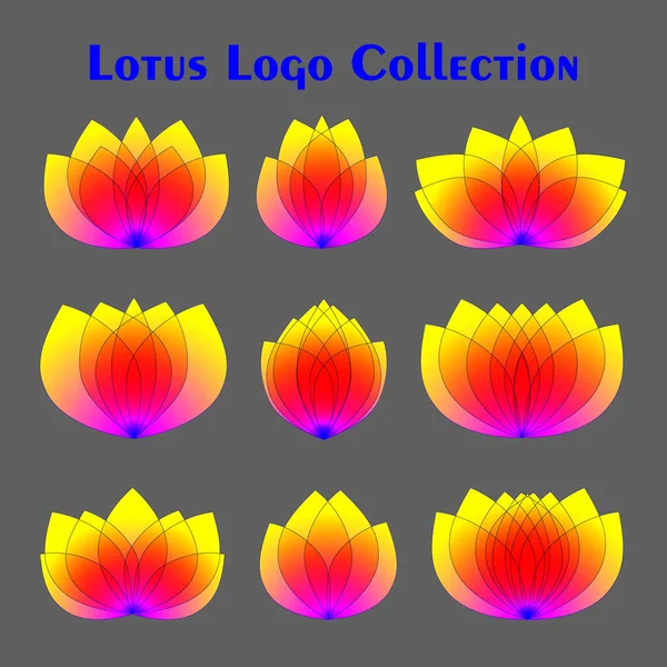 Loto brillante abstracto logotipos conjunto. Vector coloridos logotipos florales plantilla. Moderna colección de símbolos de flores de moda — Vector de stock