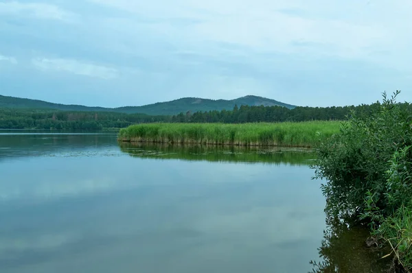 丘や森と夏の風景 — ストック写真