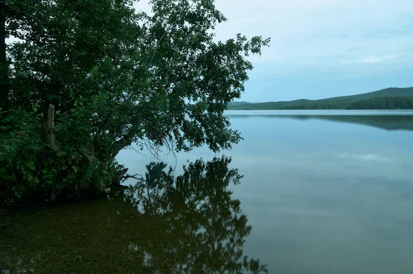 Göllü, tepeli ve ormanlı yaz manzarası