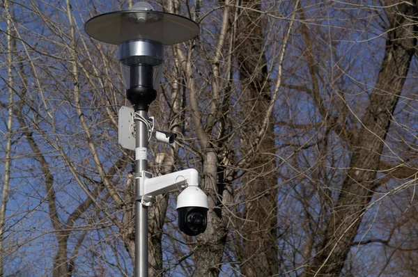 閉じる2つのCctvカメラは 緑の公園の公共のランプポストにインストールされています 盗難の都市のセキュリティカバーを見て動作するコンセプトCctvカメラ ストック写真