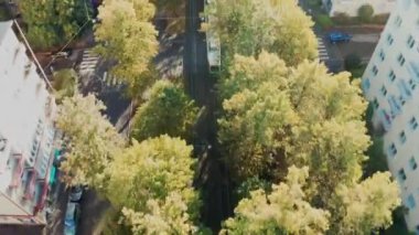 Helsinki, Finlandiya - 5 Ekim 2020: Tramvay birçok ağaçla birlikte caddede hareket etmektedir. Sonbahar şehir manzarasının hava görüntüsü.