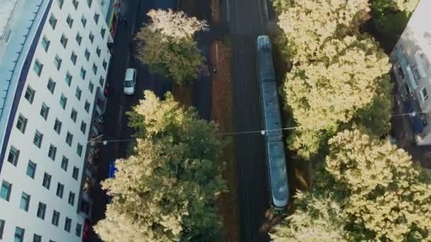Helsingfors Oktober 2020 Spårvagnen Rör Sig Gatan Med Många Träd — Stockvideo