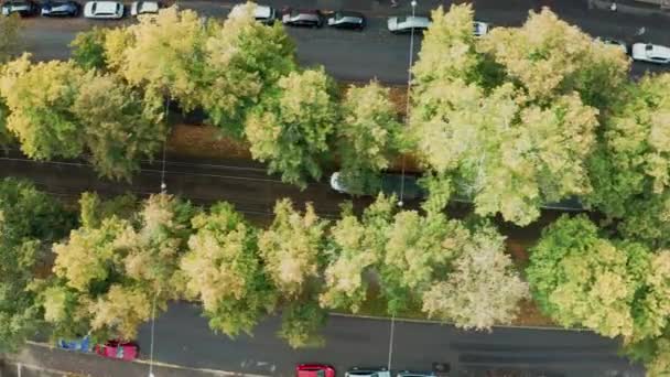Spårvagnen Rör Sig Gatan Med Många Träd Helsingfors Finland Höstens — Stockvideo