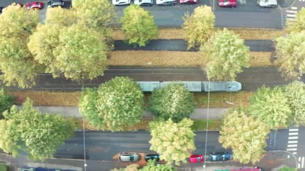 Tram Rijdt Straat Met Veel Bomen Helsinki Finland Herfst Stadsgezicht — Stockvideo