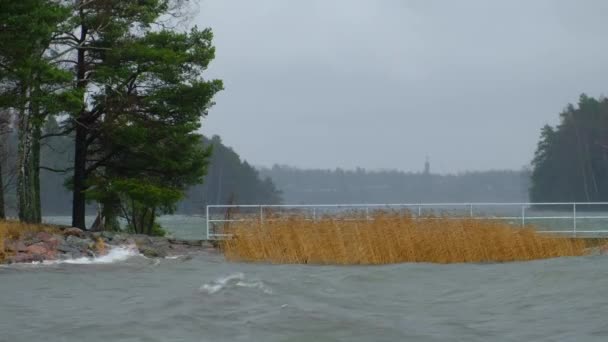 Tempête Sur Côte Mer Baltique Espoo Finlande Nature Nordique — Video