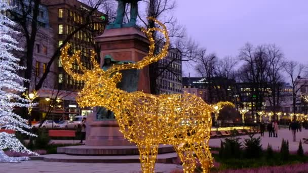 Helsinki Finnland Dezember 2020 Die Weihnachtsdekoration Esplanadi Park — Stockvideo