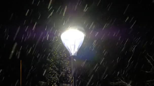 Σύγχρονος Λαμπτήρας Led Δρόμου Κατά Την Χιονόπτωση Στην Ευρώπη — Αρχείο Βίντεο