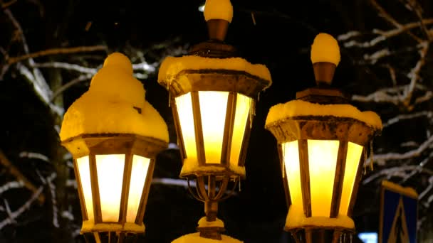 Las Clásicas Lámparas Calle Antiguas Durante Nevada Europa — Vídeos de Stock