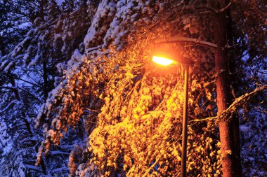 Avrupa 'da kar yağışı sırasında modern sokak lambası. Karla kaplı çam ağacı.