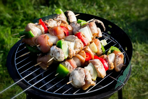 Grilling shashlik on barbecue grill — Stock Photo, Image