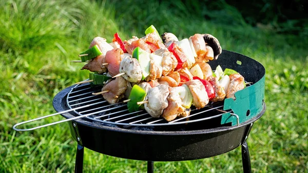 Grilování shashlik na grilu — Stock fotografie