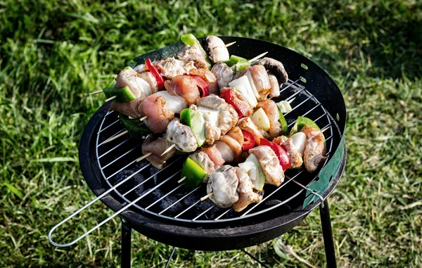 Griller shashlik sur barbecue grill Images De Stock Libres De Droits
