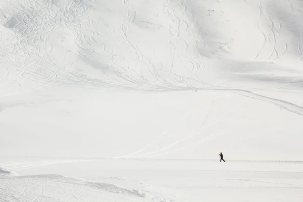 Ski de fond — Photo