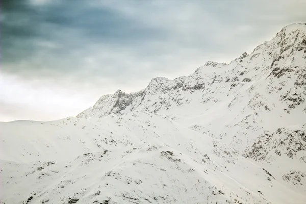 Beautiful winter landscape — Stock Photo, Image