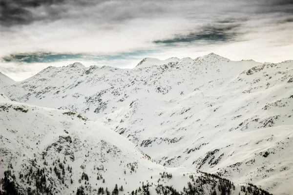 Schöne Winterlandschaft — Stockfoto