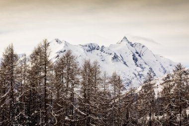 Avusturya en yüksek tepe Grossglockner (3,798 m)