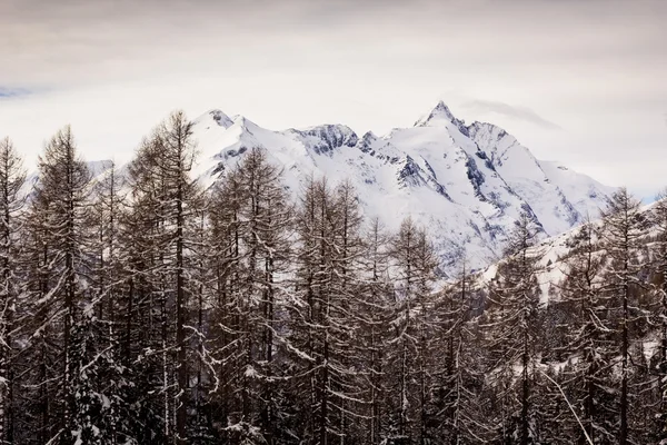 Höchster Gipfel Österreichs, der Großglockner (3.798 m)) — Stockfoto