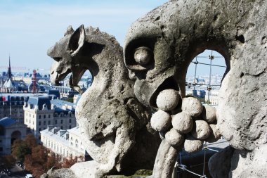 Notre Dame Katedrali Notre Dame de Paris, Fransa, gargoyles