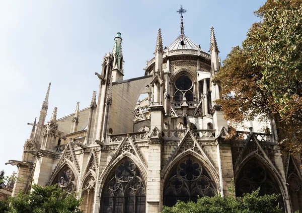 Notre Dame de Paris er en gotisk katedral - Stock-foto