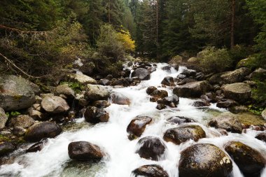 Bulgaristan Bansko Vadisi dağ dere