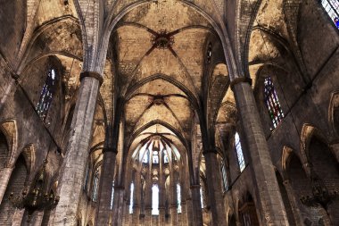 Katedral Kutsal haç ve Saint Eulalia.Barcelona, İspanya.
