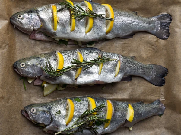 マスをレモンと魚を料理. — ストック写真