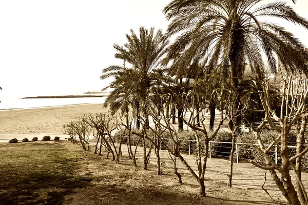 Barcelona strand. — Stockfoto