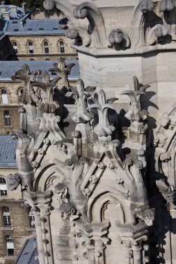 Notre dame, paris.