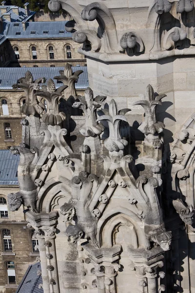 Notre Dame , Paris. — Stock Photo, Image