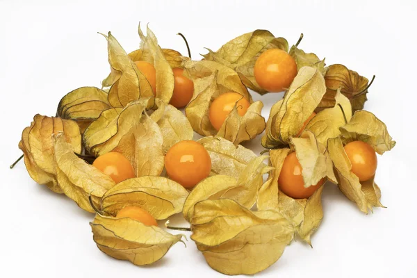 Мыс крыжовника (physalis) ) — стоковое фото