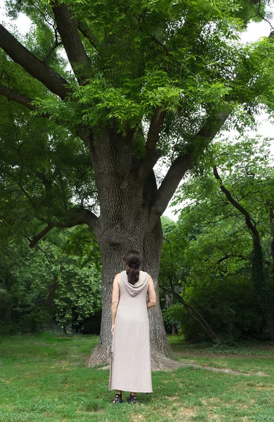 公園の木の近くの女性 — ストック写真